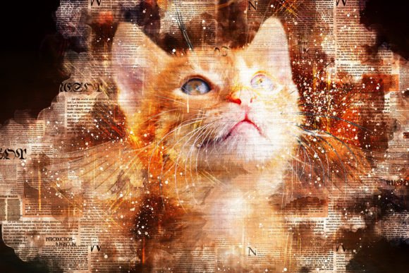 Download Printable Cat Graphics Pack# 08 - Cat graphics Collection