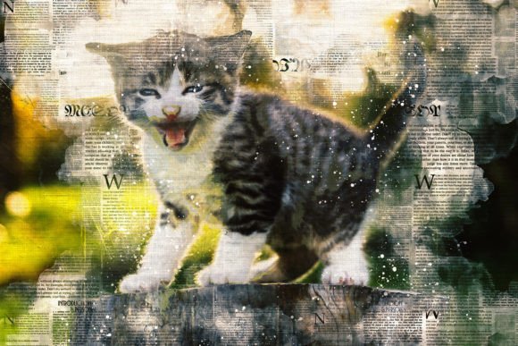 Download Printable Cat Graphics Pack# 10 - Cat graphics Collection