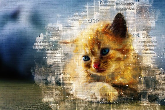 Download Printable Cat Graphics Pack# 07 - Cat graphics Collection