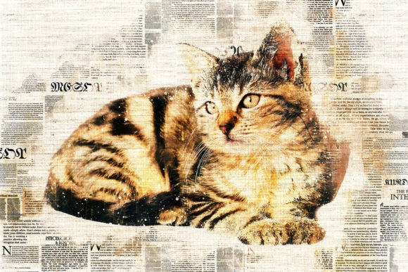 Download Printable Cat Graphics Pack# 04 - Cat graphics Collection