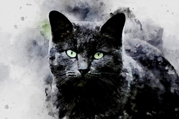 Download Printable Cat Graphics Pack# 19 - Cat graphics Collection