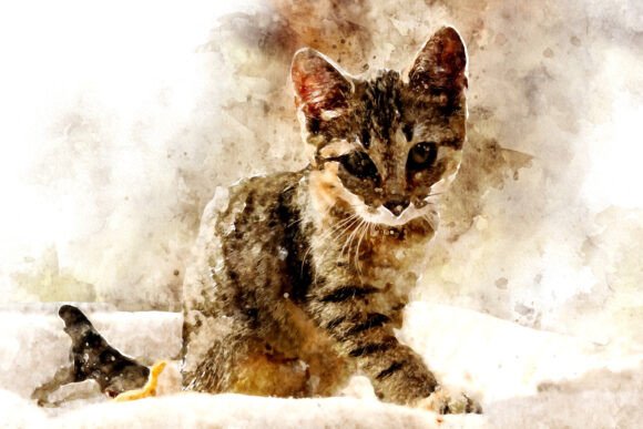 Download Printable Cat Graphics Pack# 24 - Cat graphics Collection